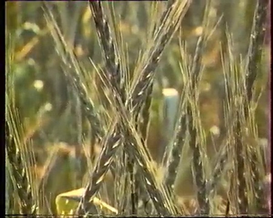 Les inventions de la vie 23 : Il y a longtemps que je sème 2