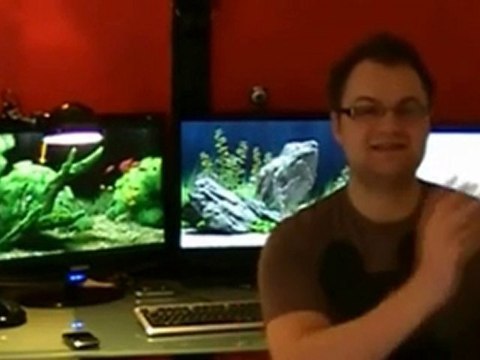 Build your own home based business