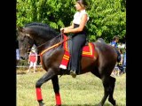 Fete du cheval 2010_0002