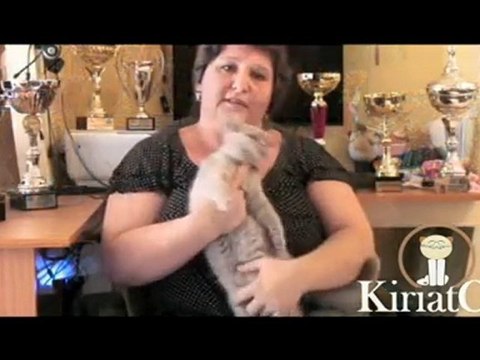 סרטי תדמית בחיפה צלם עורך וידאו איי מדיה -0544905171