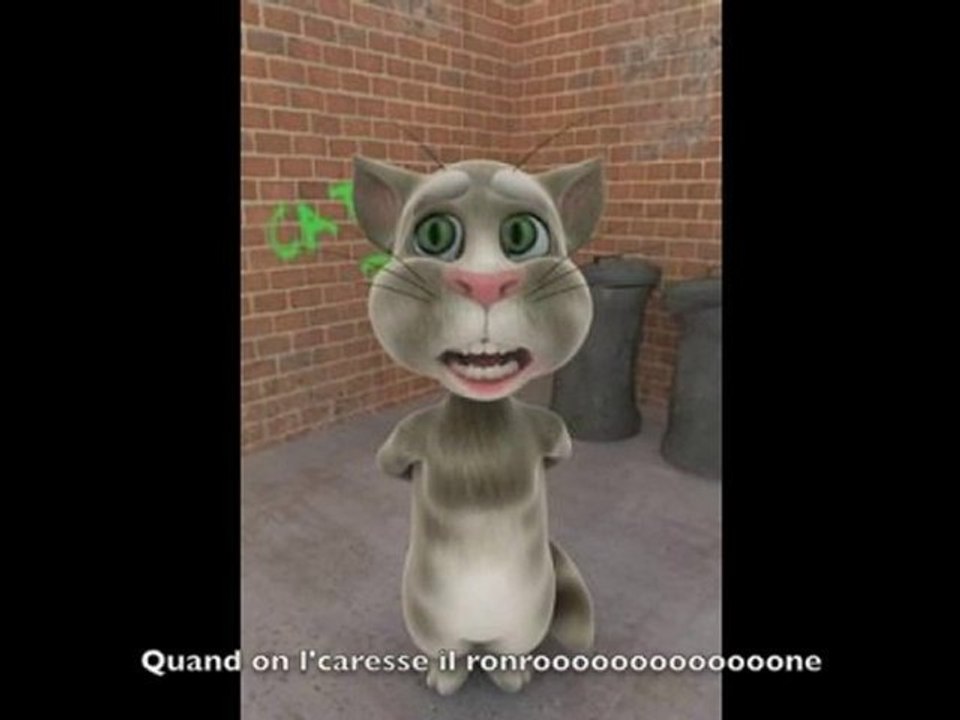 Ôde à Tom le Chat