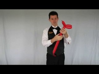 Simple Balloon Animal Dog Instructions