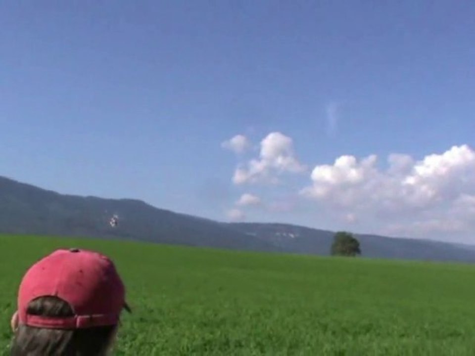 Trex 450 Pro # 008