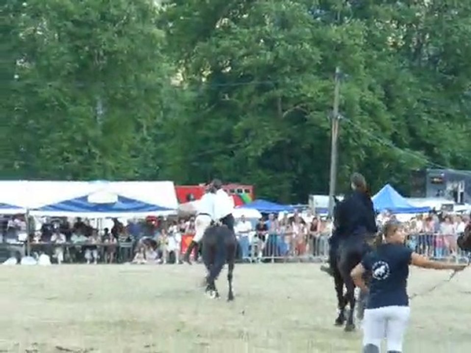 spectacle ecurie de la croux: bouan 2010