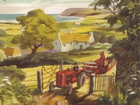 Nenez Edouard - l'ile aux choux fleurs ( clip )