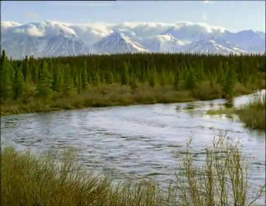 Marcher avec l'homme des cavernes part 5