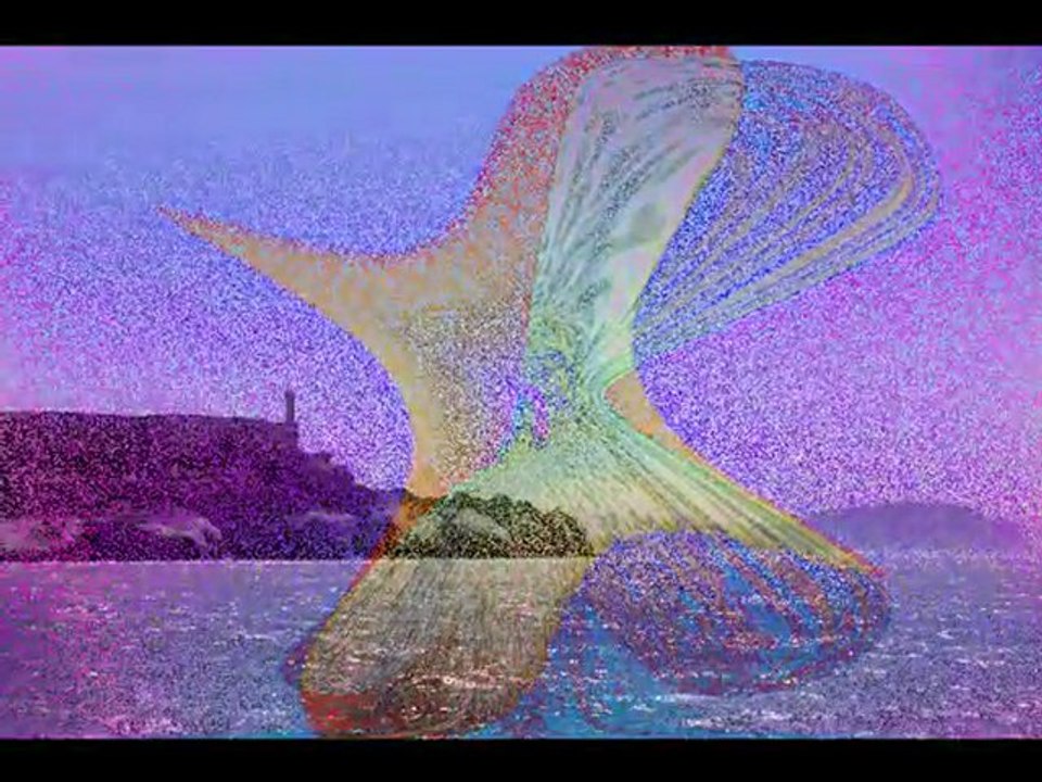 SAN FRANCISCO LA BAIE SUITE ©MARTINE ANCIAUX TELEVISION