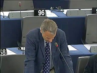Niccolò Rinaldi on EU-Korea