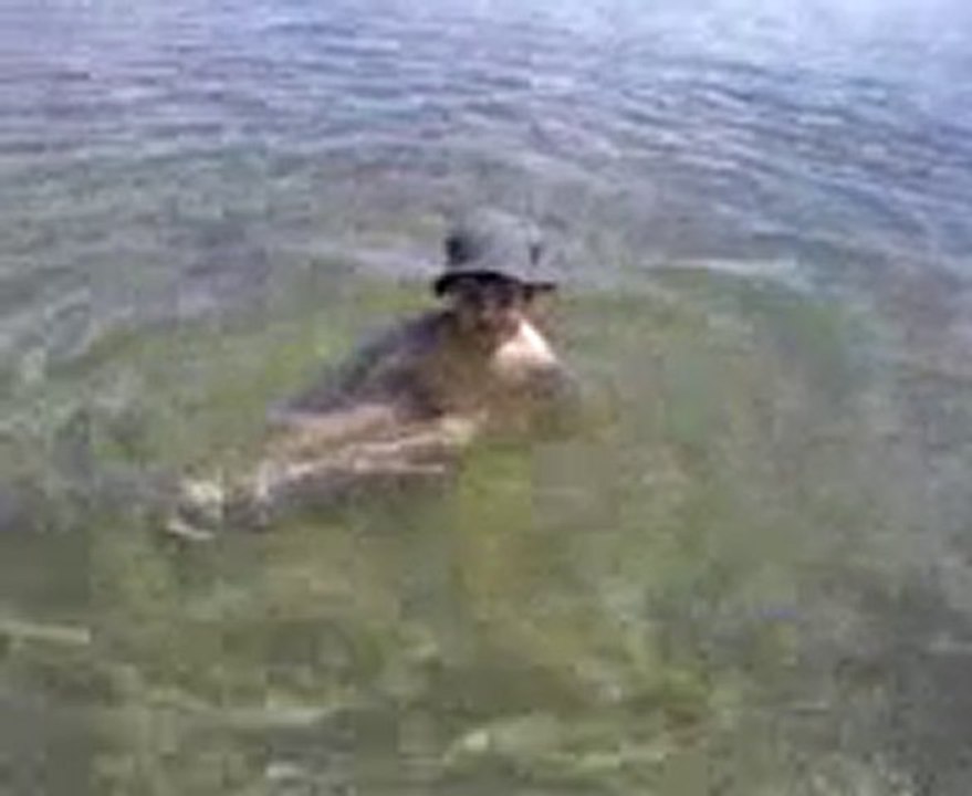 baignade a biscarosse