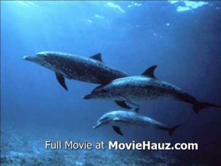 Nomads (1986) Part 1 of 16