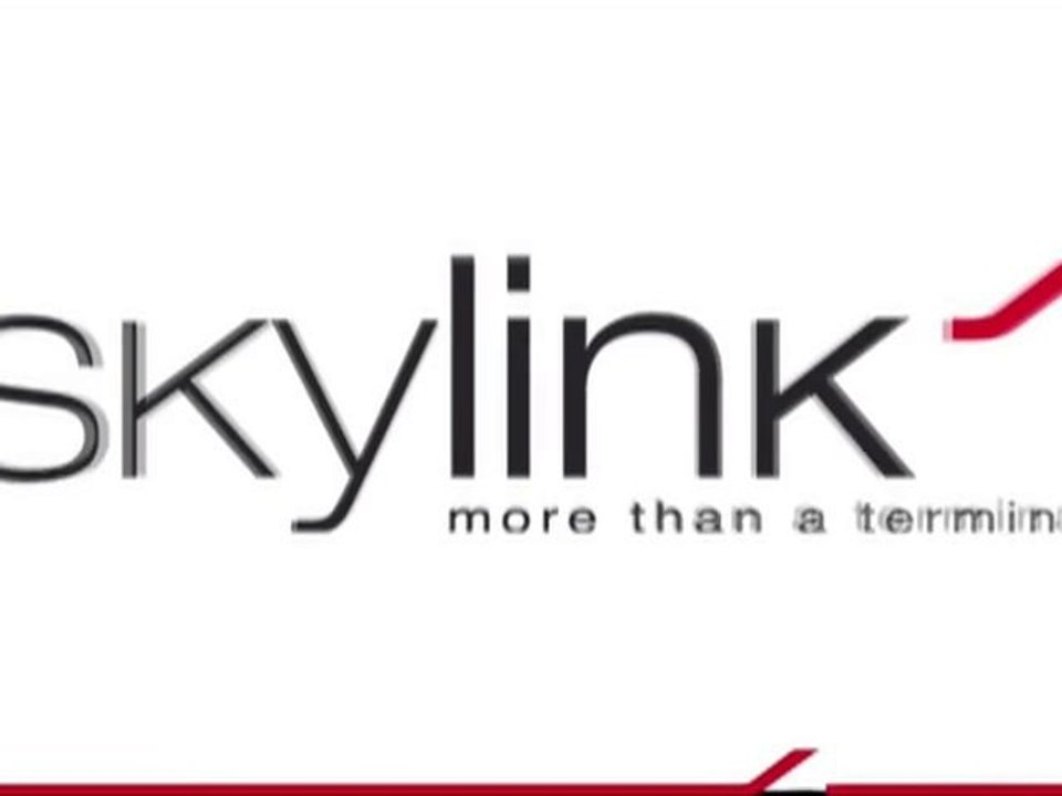 Skylink Vienna