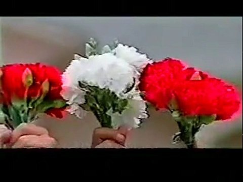 QUE LINDO ES MI PERU de Augusto Polo Campos