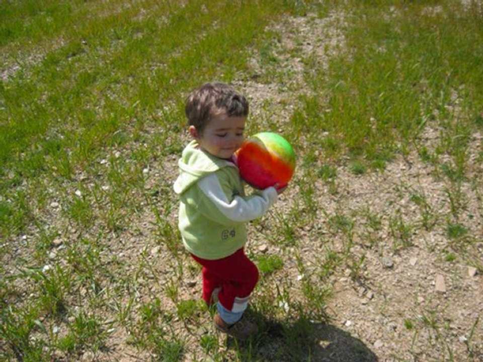 sample pictures