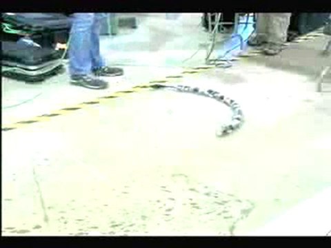 Robot serpiente - Modular Snake Robots