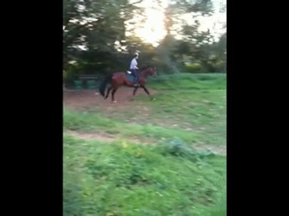 Entrainement Cross