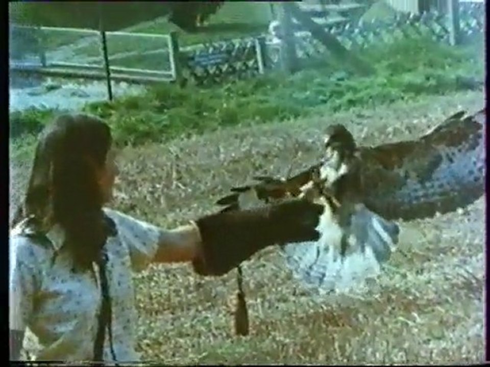 Les inventions de la vie 24 : La patience du macho à plume 1