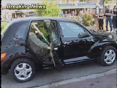 Teaser In the World of Lloyd Kaufman