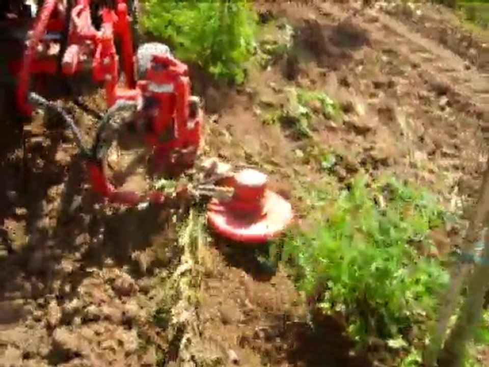 pépinières de marnay travail du sol palpeur