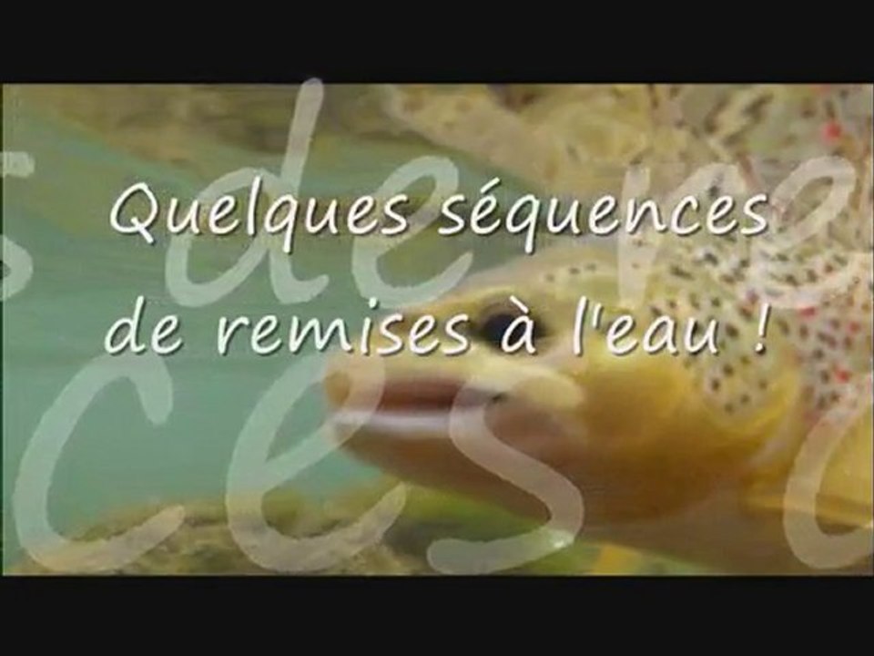 Session pêche avec Phil3665