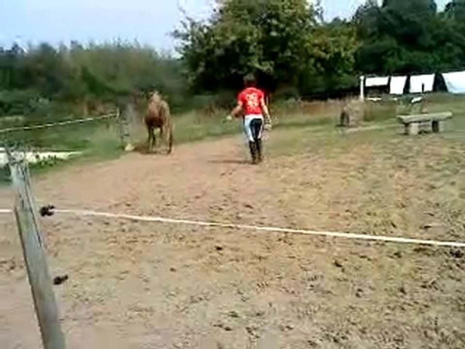 Raya, travail en liberté