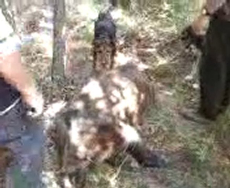 Video039