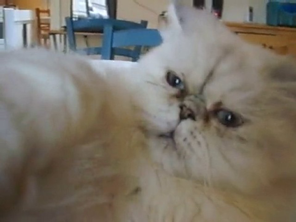 Ella s'énerve!!!!! 001