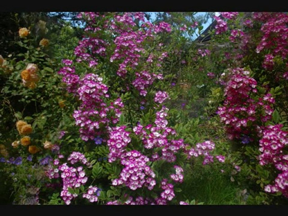 le jardin