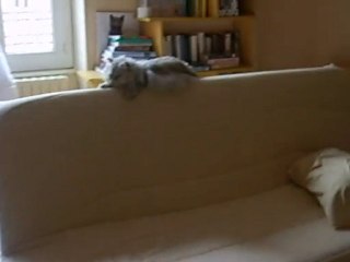 Fillette fait la folle!!!!! 001