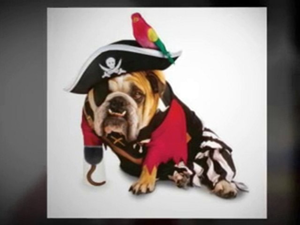 Dog Halloween Costume