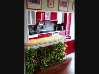 Mur végétal AQUAPHUTON