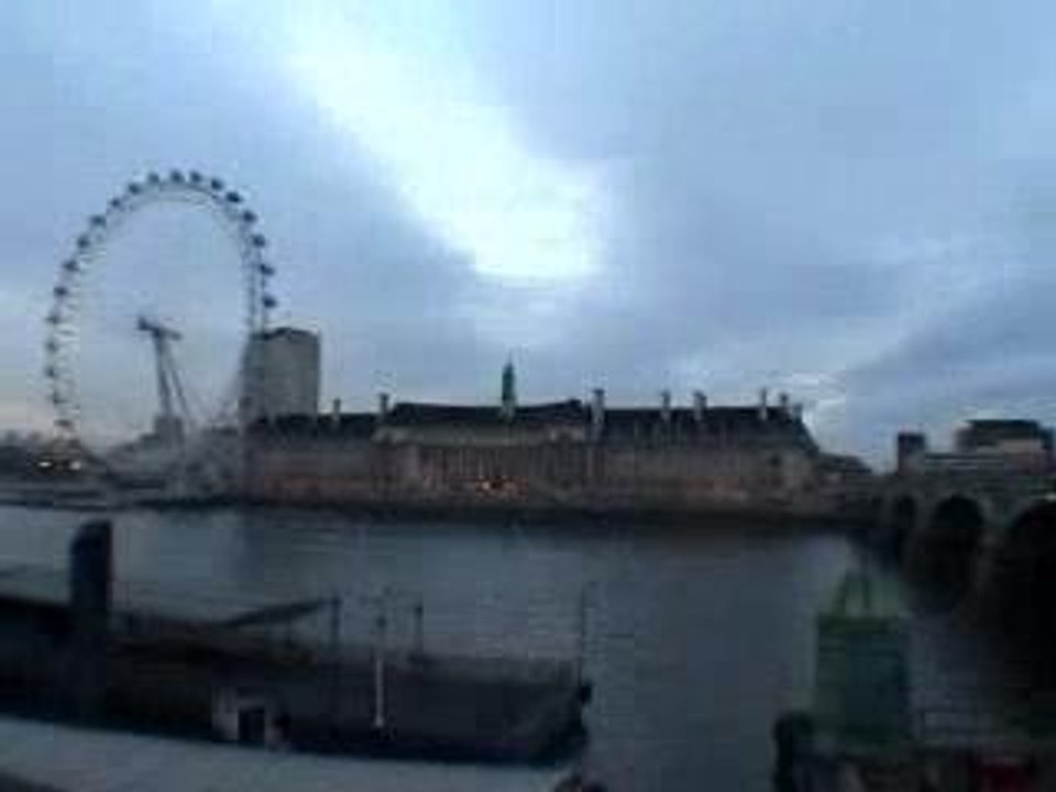 Steve-O - Out on Bail