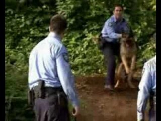 Ace of Hearts (2008) Part 1 OF 18