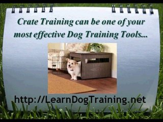 Dog Crate Training