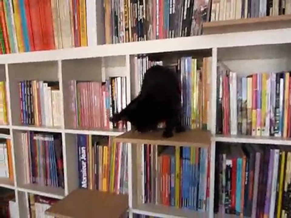 Coco - Escalier 1er essai