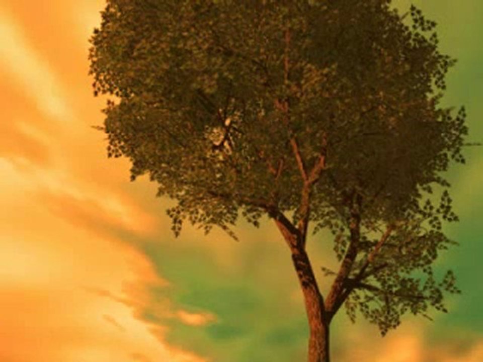 Лекции за исляма - рабите на всемолостивия Аллах - част 6