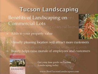 Let the Best Tucson Landscapers show you how it's done