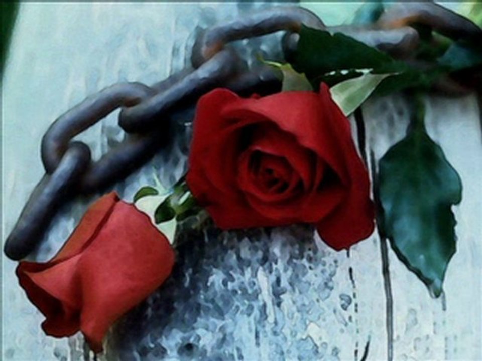 seslitutkumuz.com  kirac  bulamazsin  benim   gibi  seveni