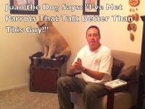 Dog Training Lessons - How Often Should You Train Your Dog?