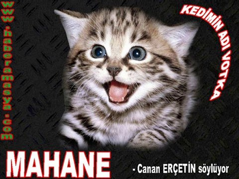 MAHANE- CANDAN ERÇETİN SÖYLÜYOR- haberamasya.com sunar