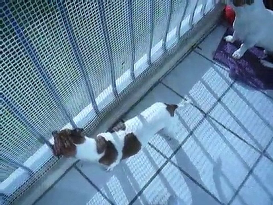 Bud et Amy sur balcon