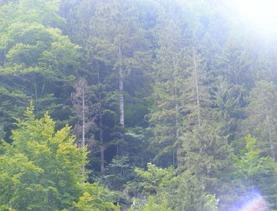 süleyman ağırman anonim kaval ezgileri çaykara uzungöl