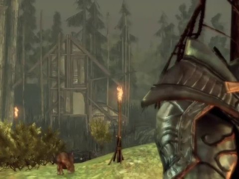 Dragon Age Origins - Trailer Witch Hunt