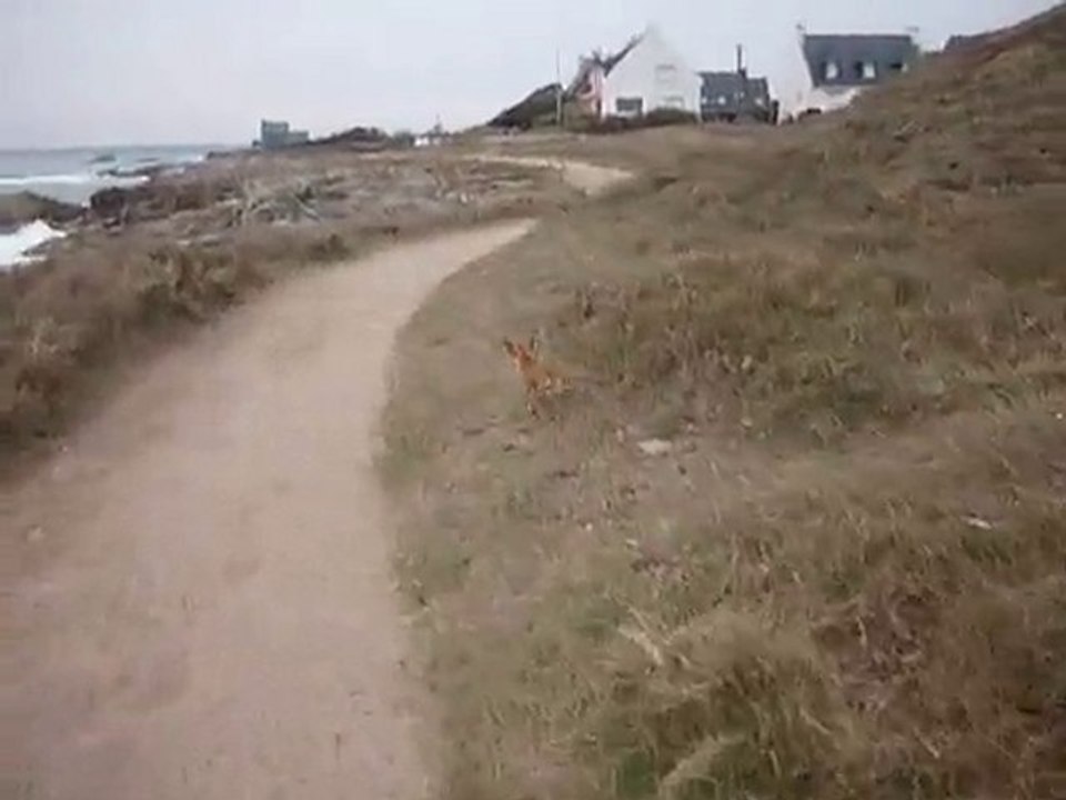 un lendemain de tempête, balade sur la côte