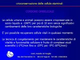 Conservazione delle cellule staminali parte 2