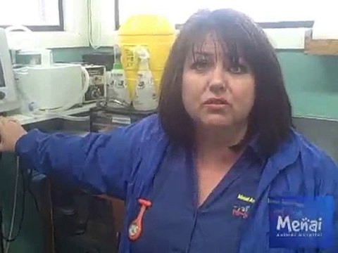 Surgery Room Tour - Illawong Vet