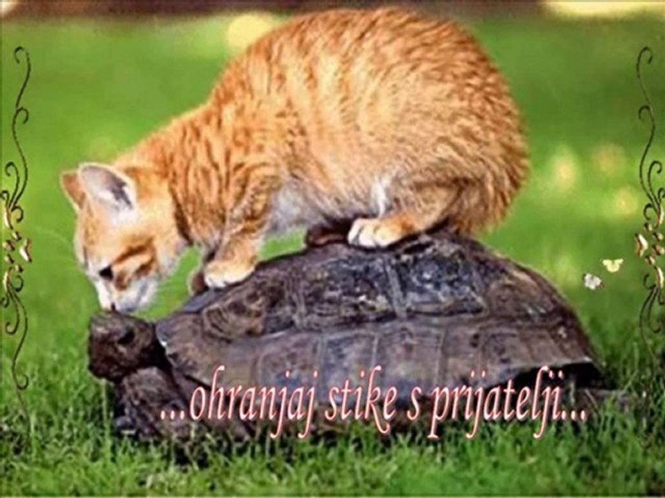 TEREZA KESOVIJA prijatelji stari gdje ste