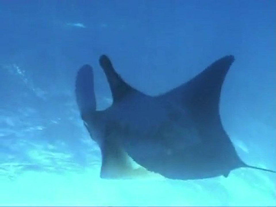 egyptprivateexcursions.com