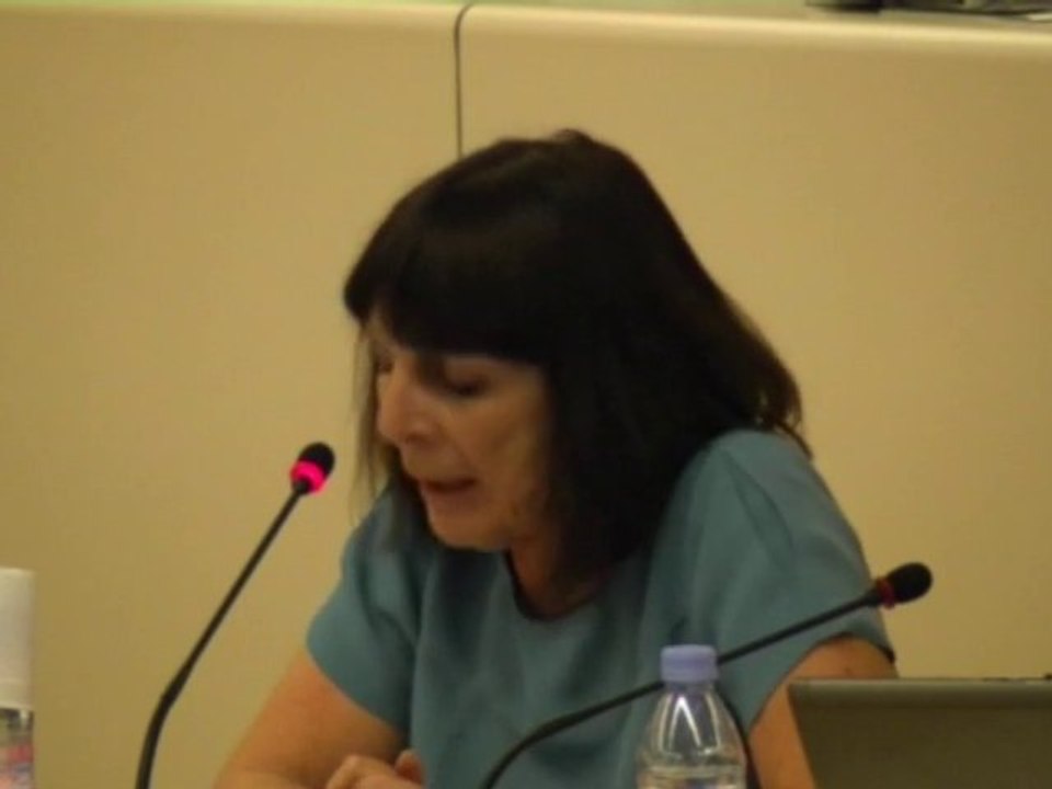 Nadine Gelas intervient sur le projet Art Public