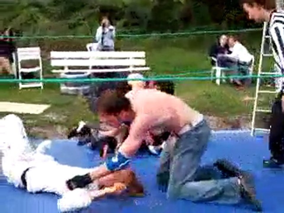 CWF  Summer of destruction part 8