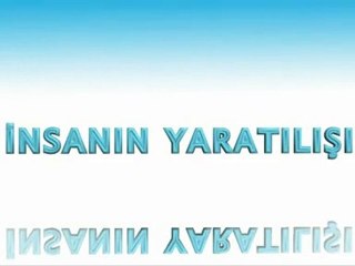 İnsanın Yaratılışı - Yaratılışdaki Düzen